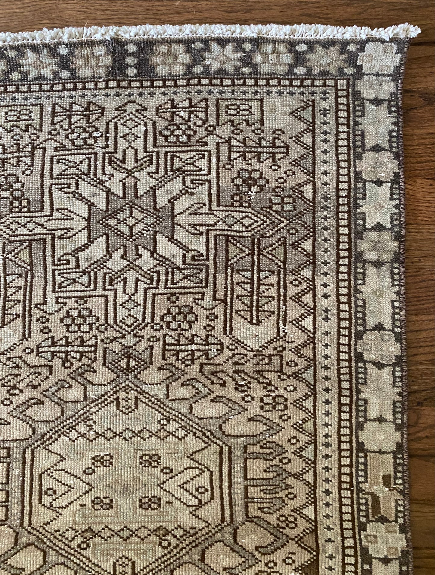 Luca 2’3.5 x 8’8