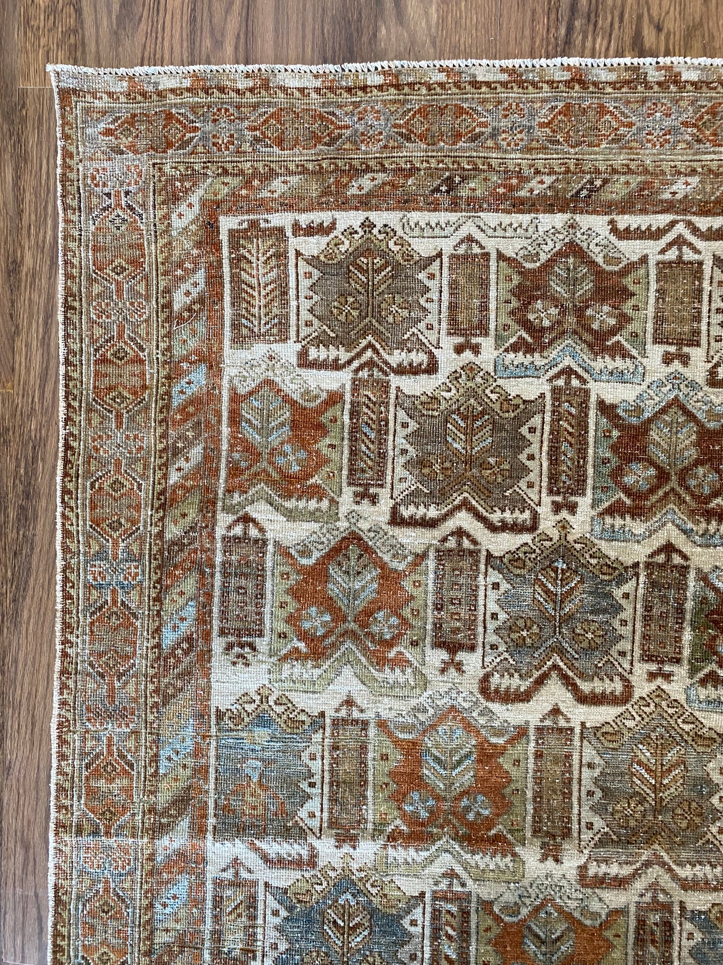 Nikki 4’8.5 x 6’2