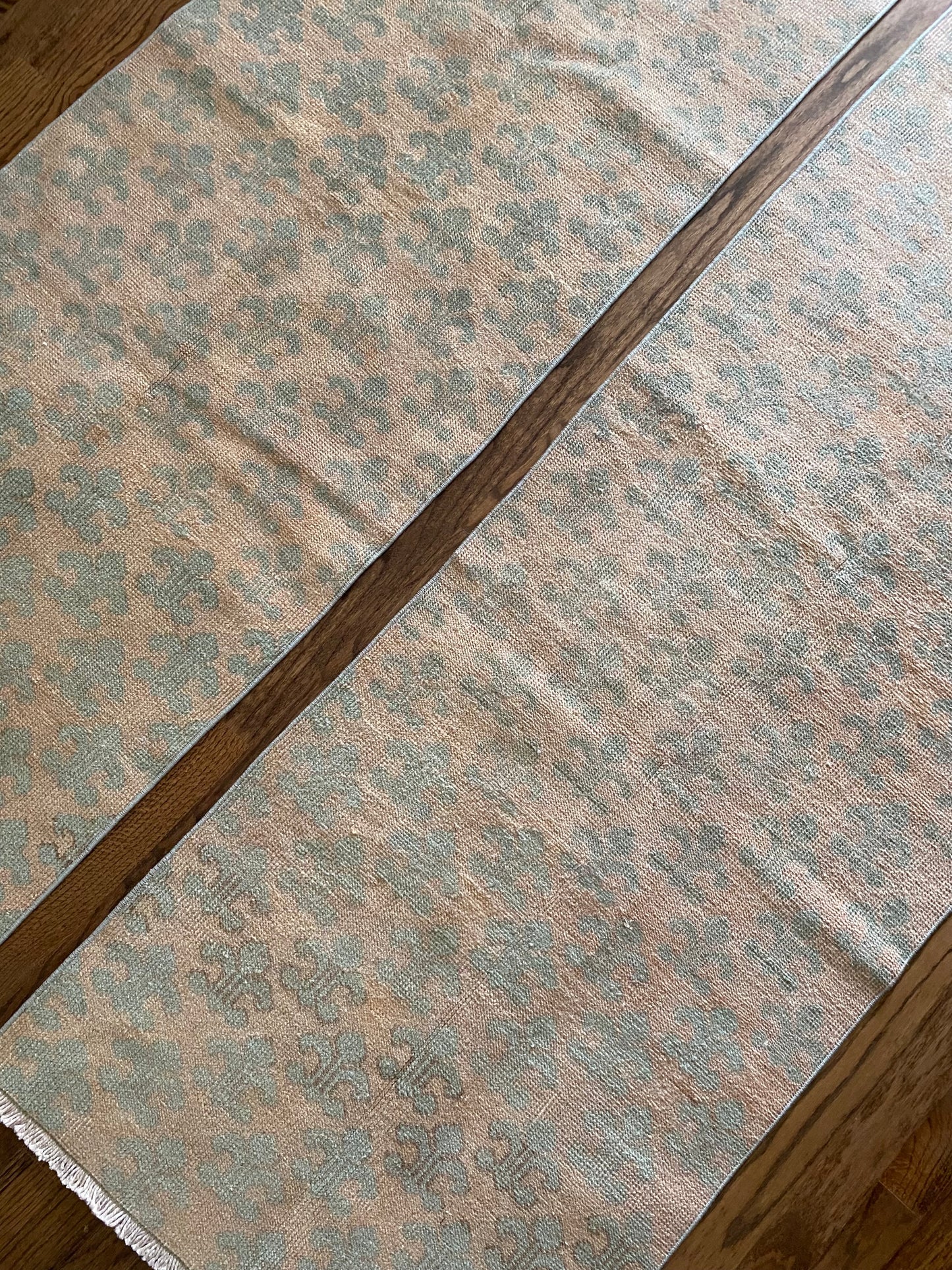 Sofia & Lucia {pair}