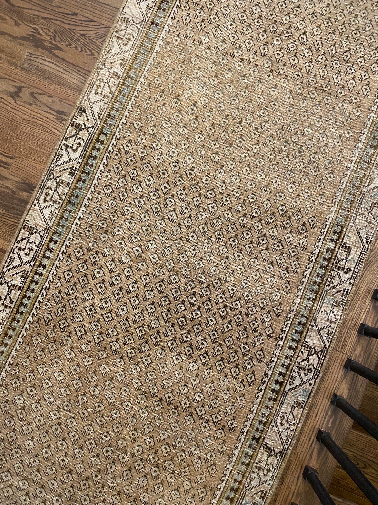 Suki 3’6 x 10’3