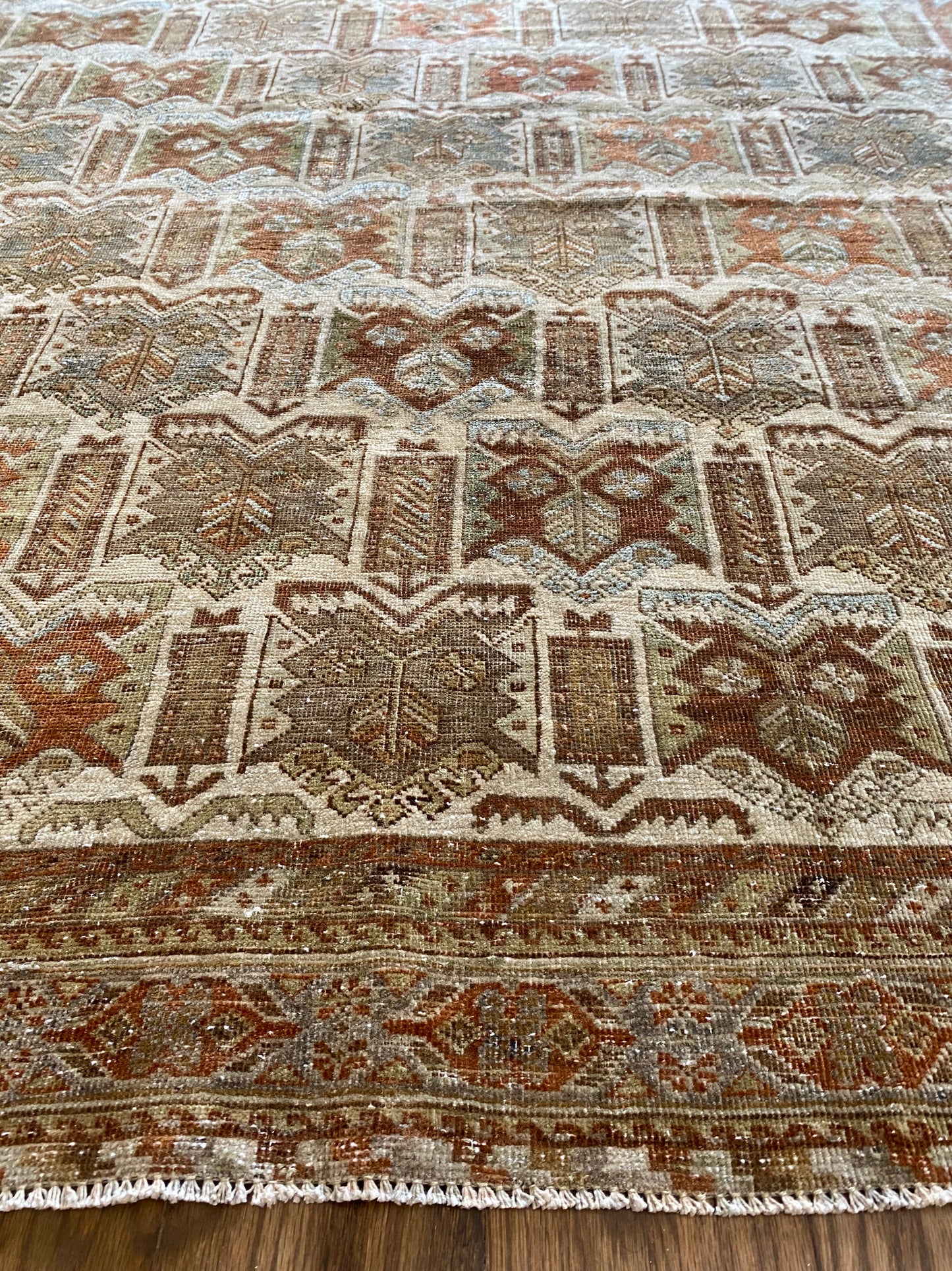 Nikki 4’8.5 x 6’2