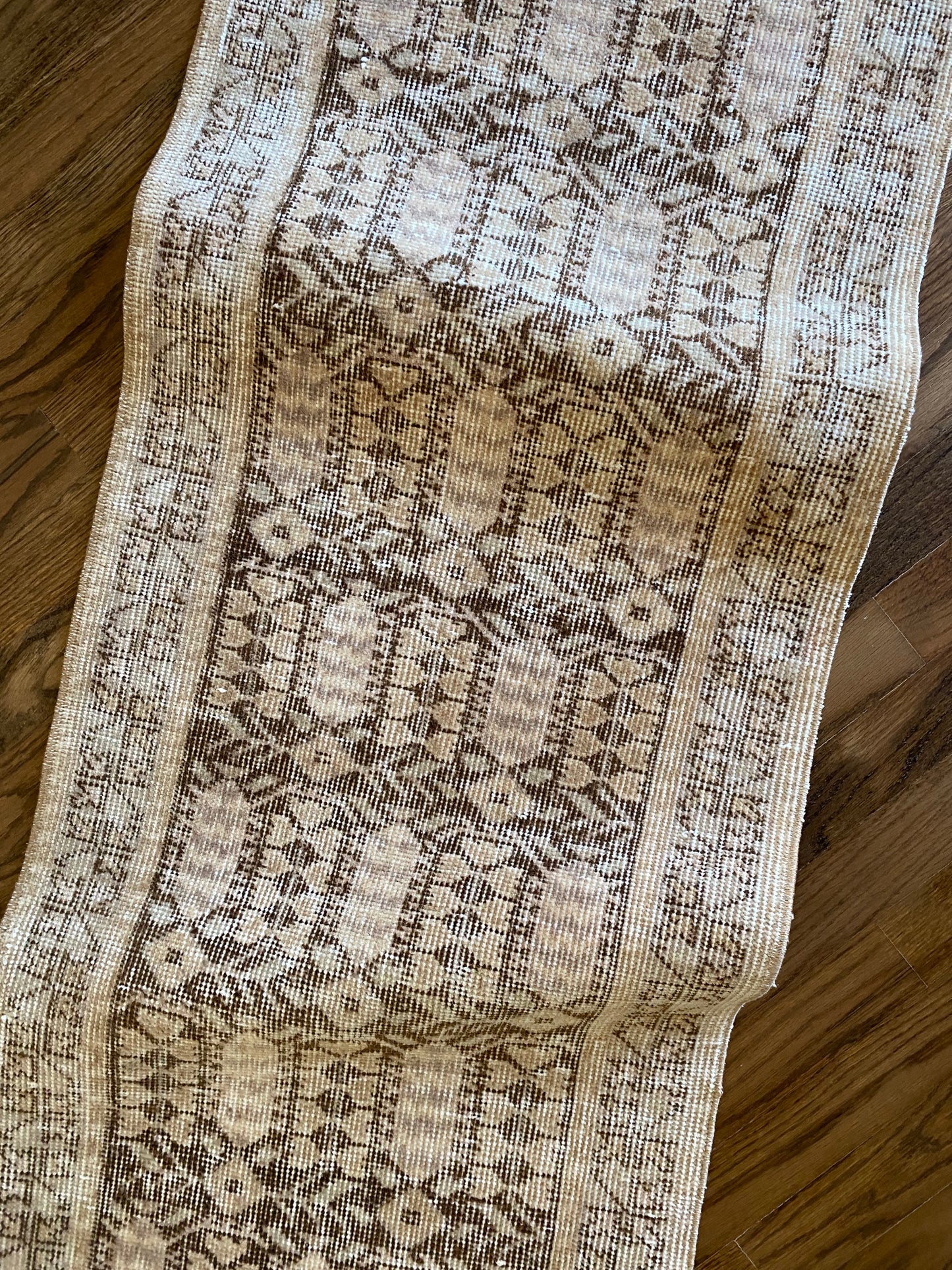 Alessia 1’8 x 4’5.5