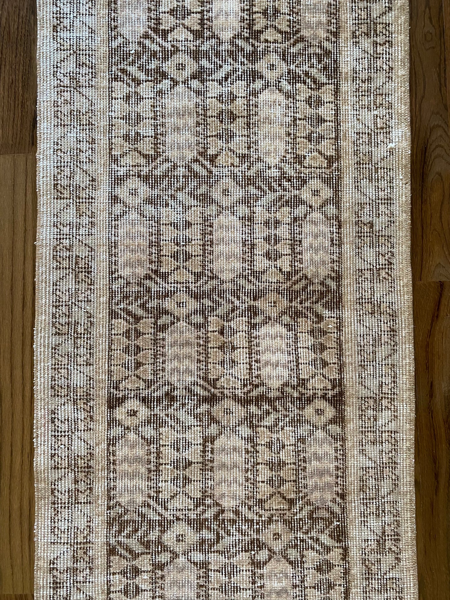 Alessia 1’8 x 4’5.5