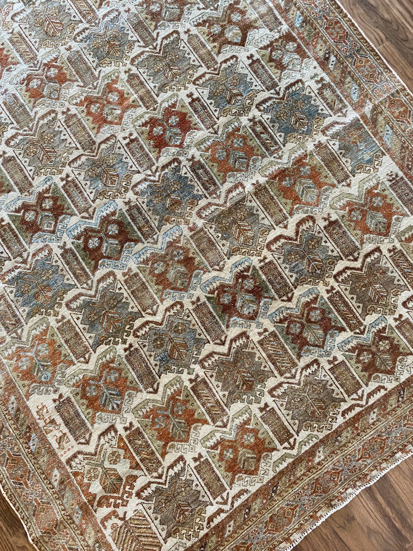 Nikki 4’8.5 x 6’2