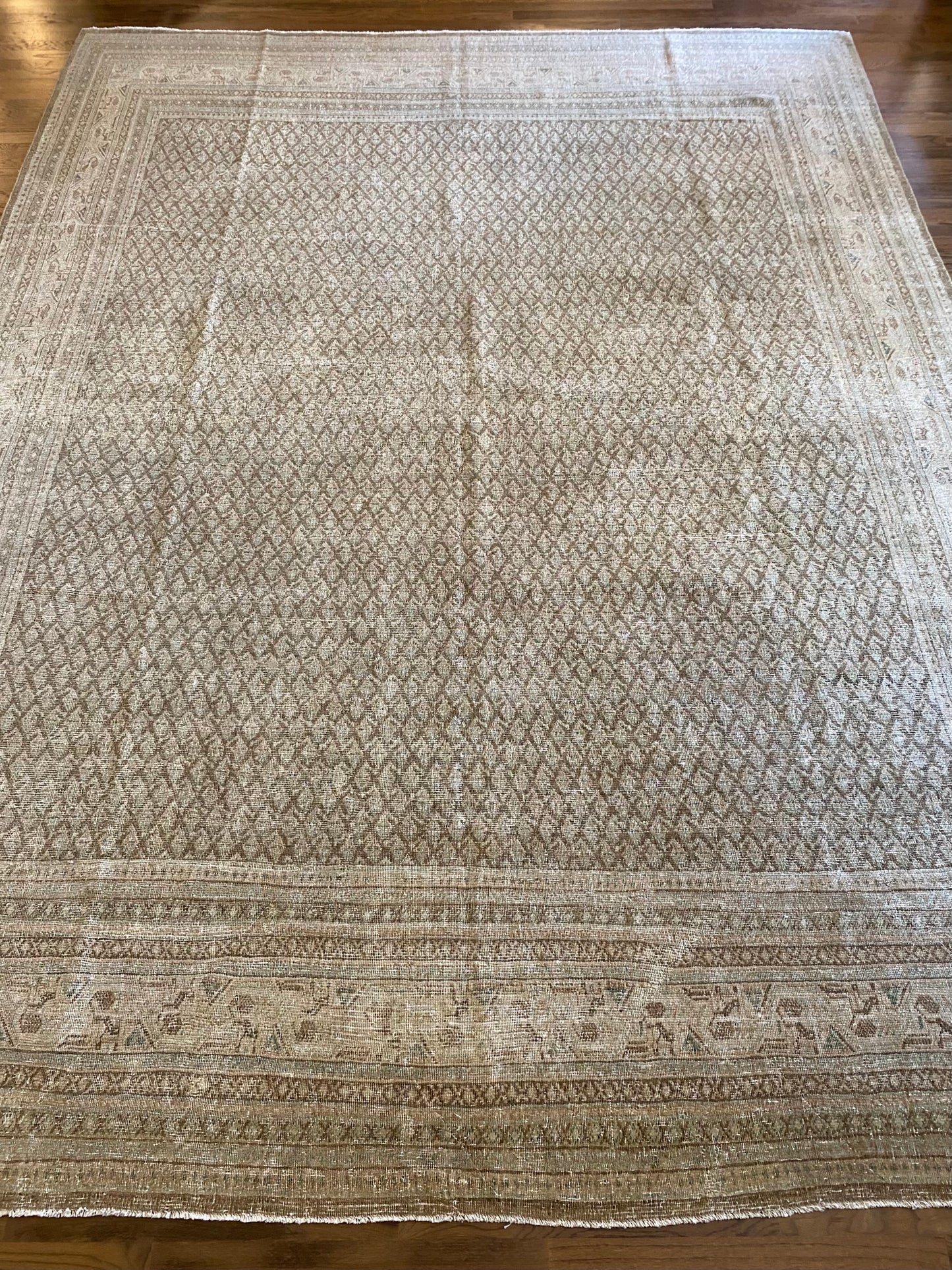 Jade 7’11.5 x 10’6