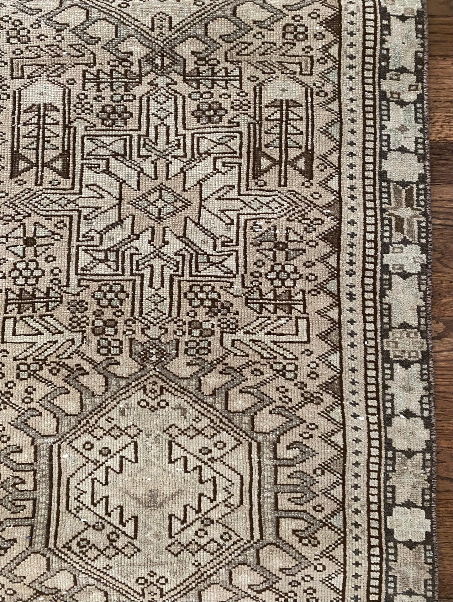 Luca 2’3.5 x 8’8