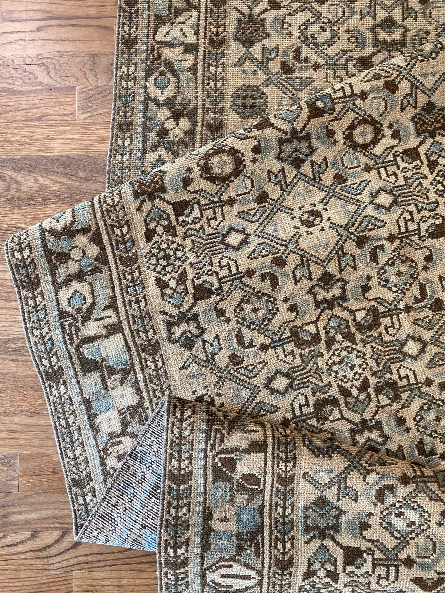 Mollie 2’11.5 x 9’5