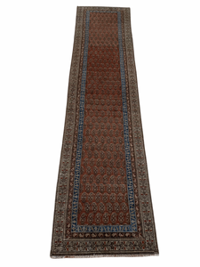 Virginia 2’5 x 9’10.5