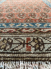 Load image into Gallery viewer, Virginia 2’5 x 9’10.5
